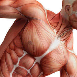 Chiropracteur Rajane Cynthia Bailly-Romainvilliers, 